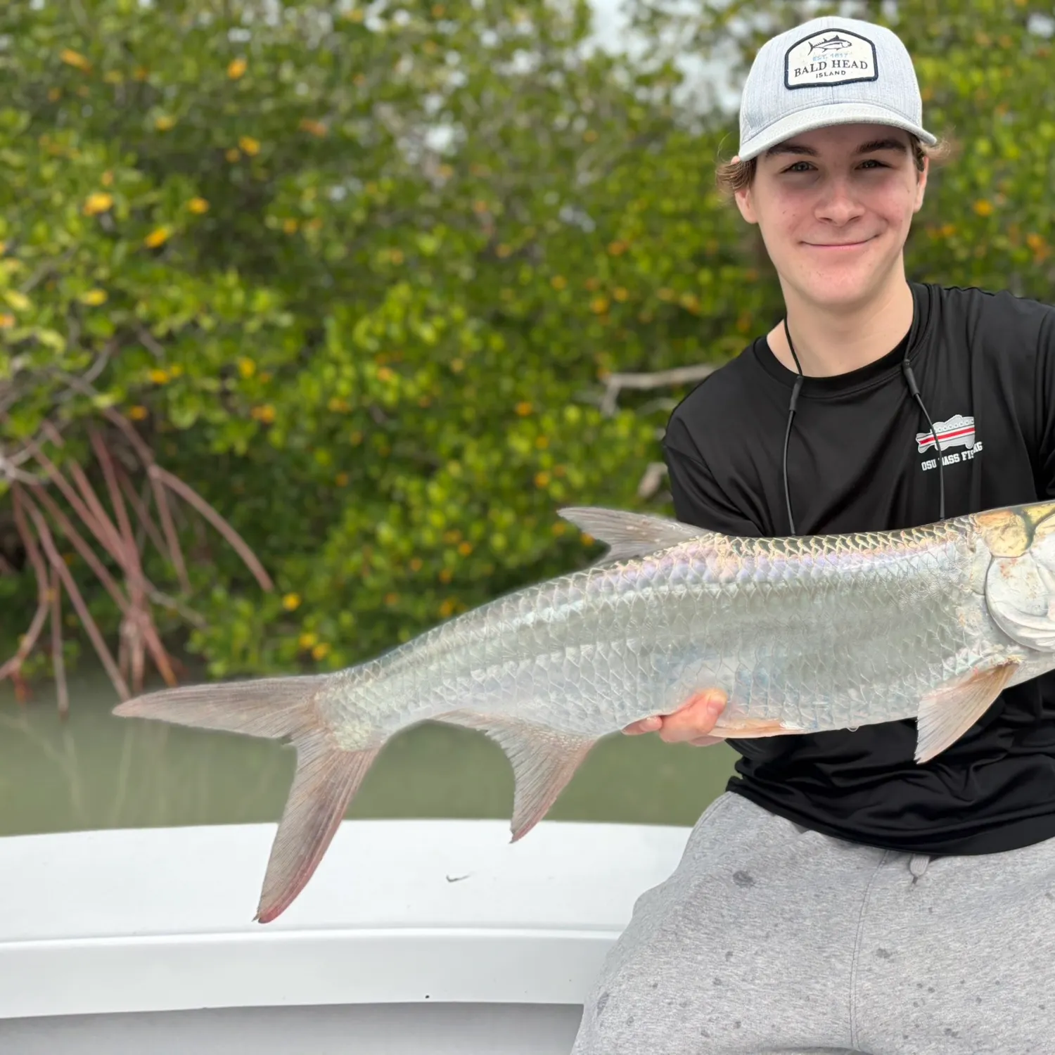 The most recent Tarpon catches on Fishbrain