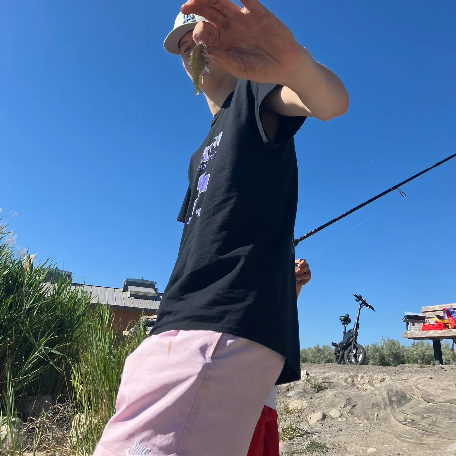 The most recent Silvertip shark catches on Fishbrain