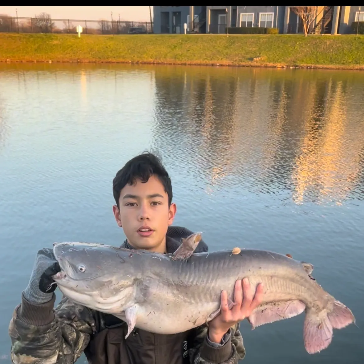 The most recent Blue catfish catches on Fishbrain