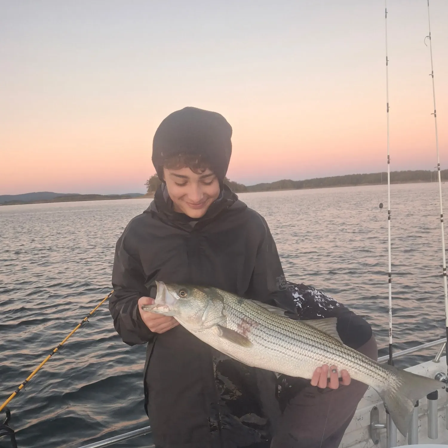 Striped bass caught on Fishbrain