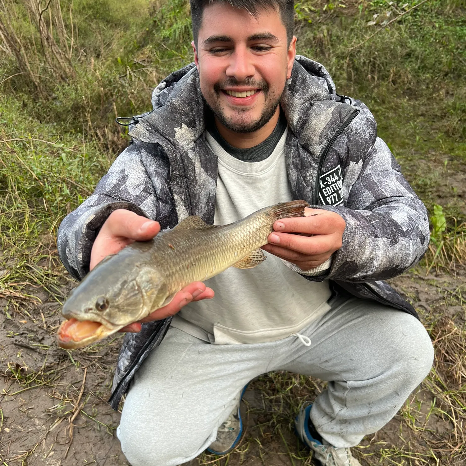 The most recent Trahira catches on Fishbrain