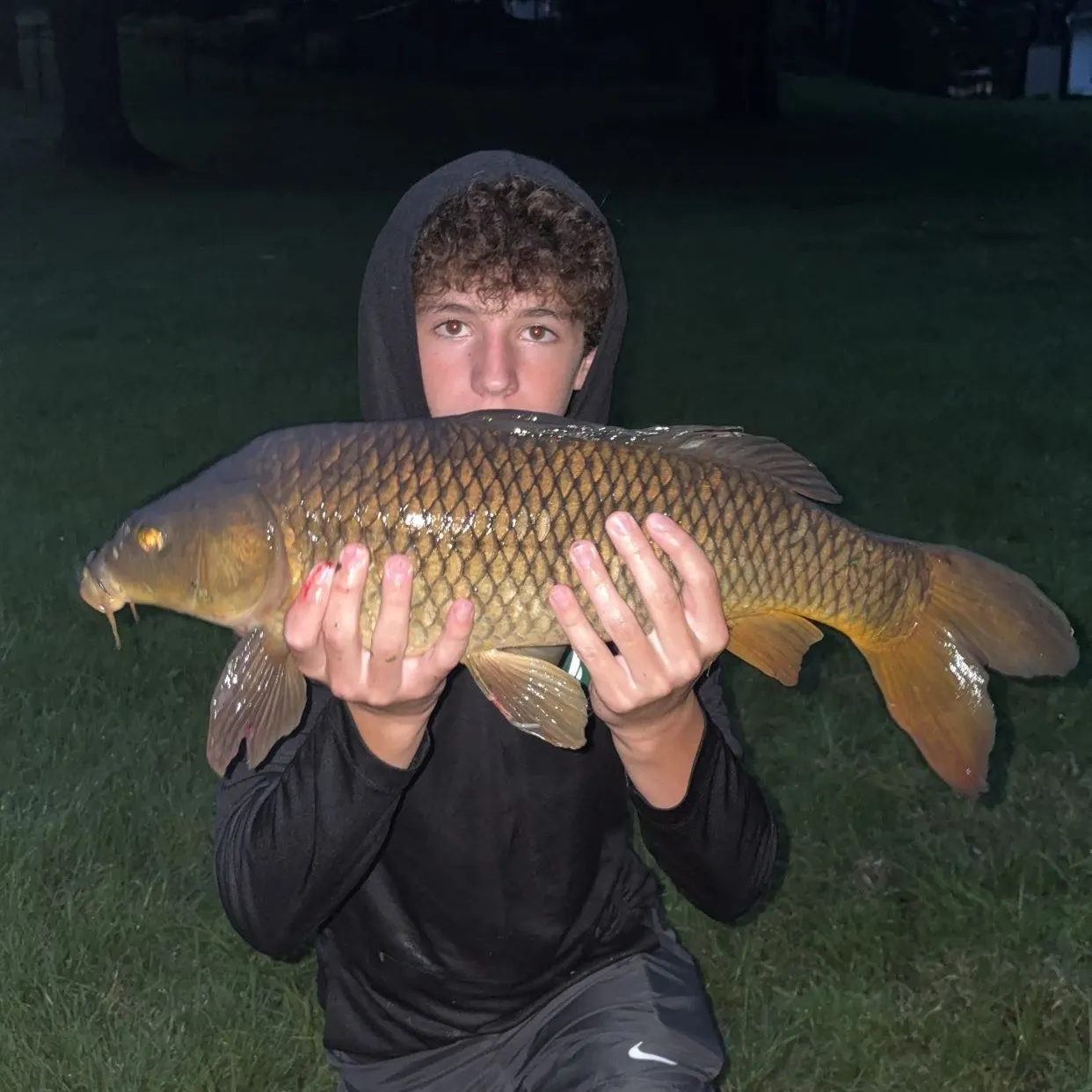Common carp caught on Fishbrain