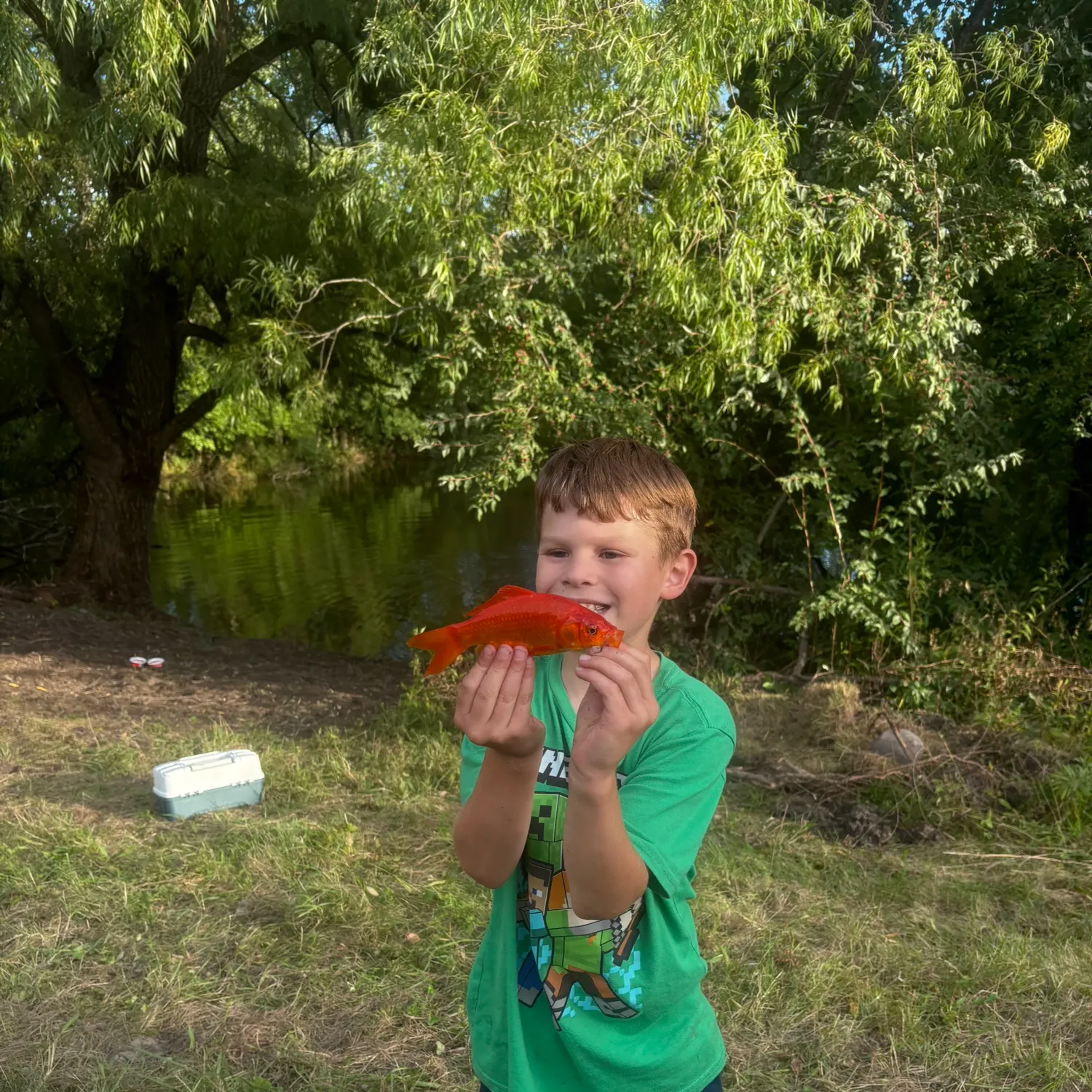 Goldfish caught on Fishbrain