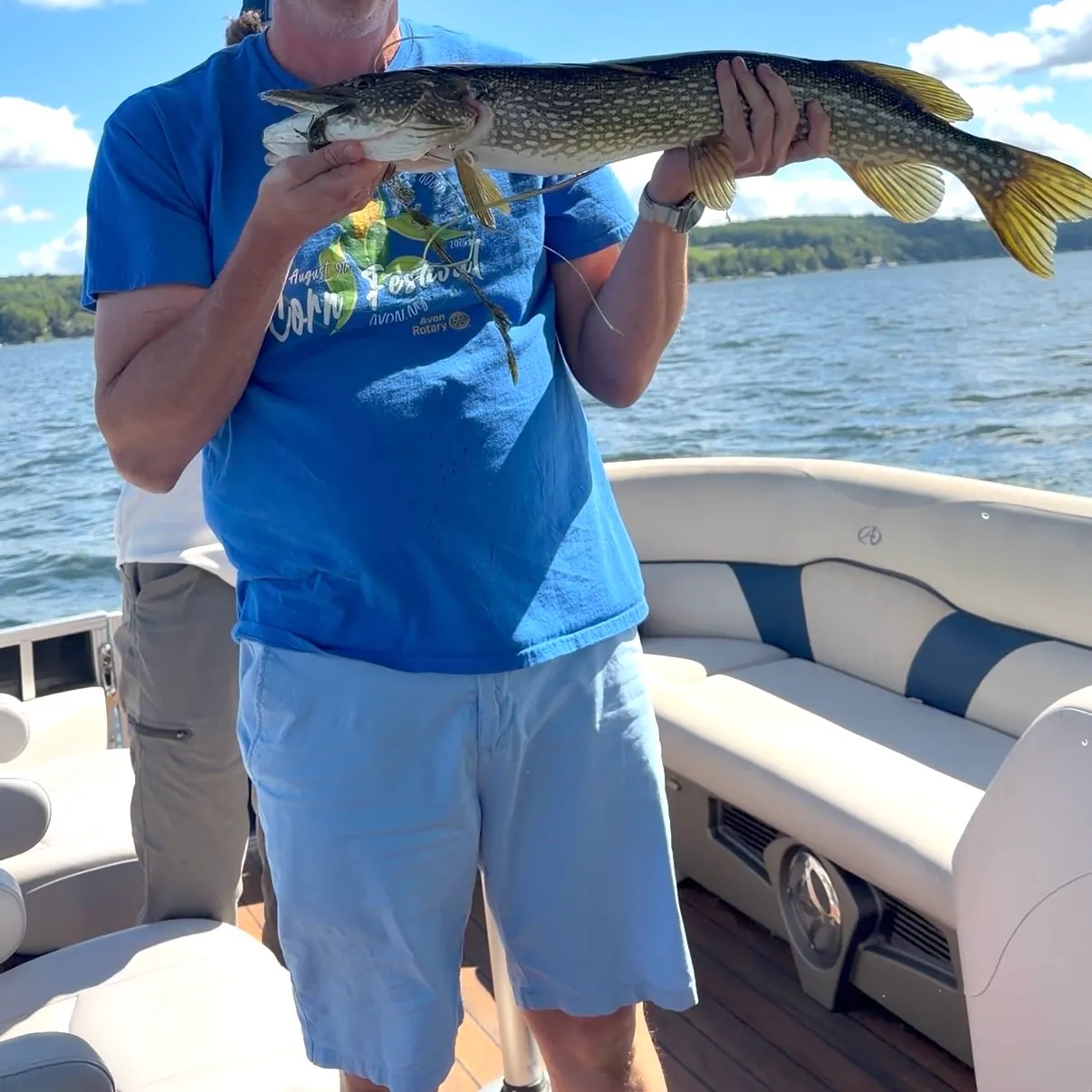 Northern pike caught on Fishbrain