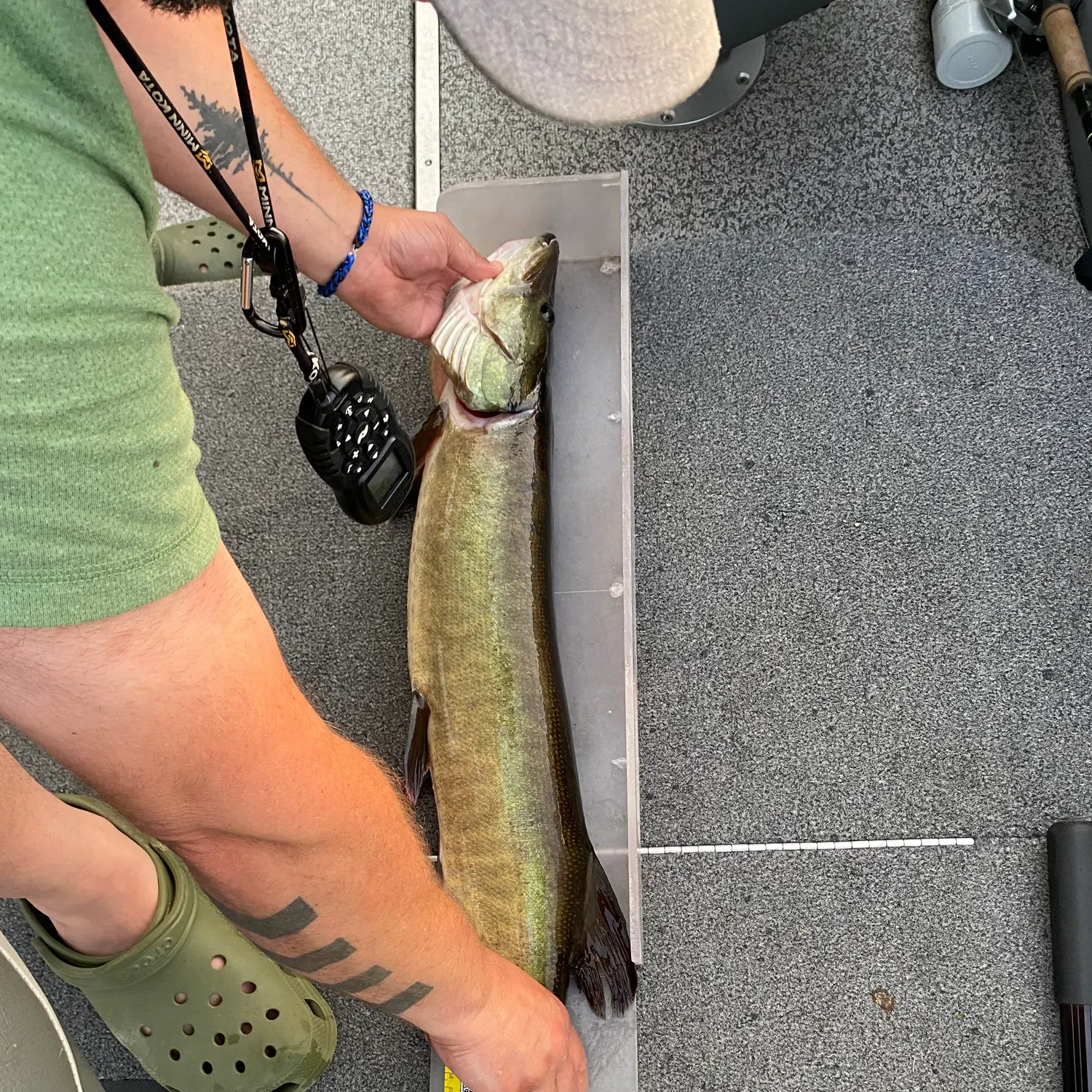 recently logged catches