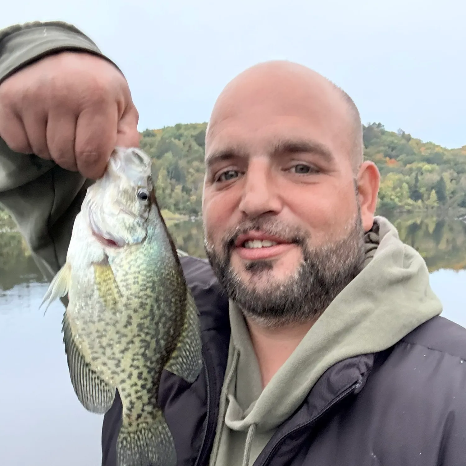 Black crappie caught on Fishbrain