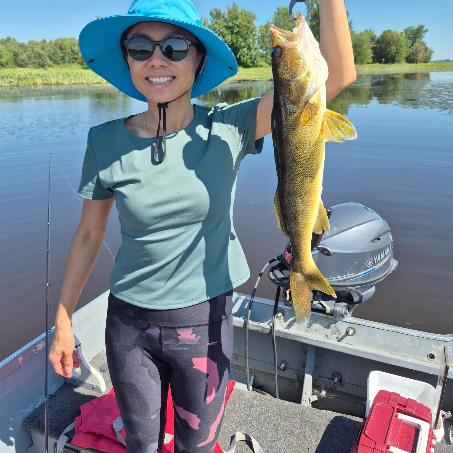 The most recent Walleye catches on Fishbrain