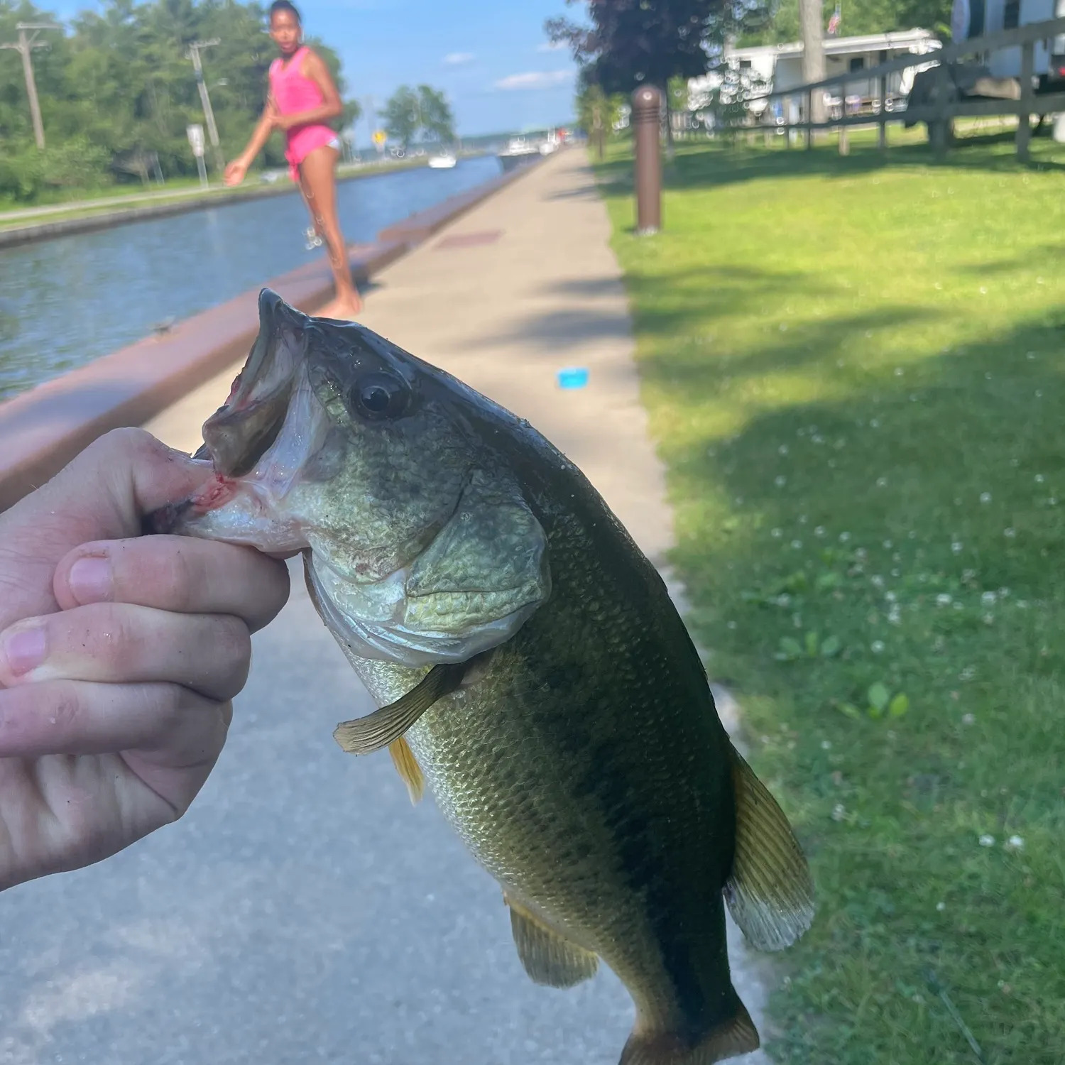 catch