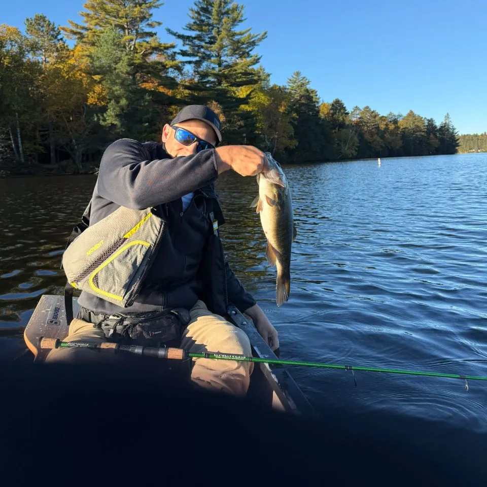 Smallmouth bass caught on Fishbrain