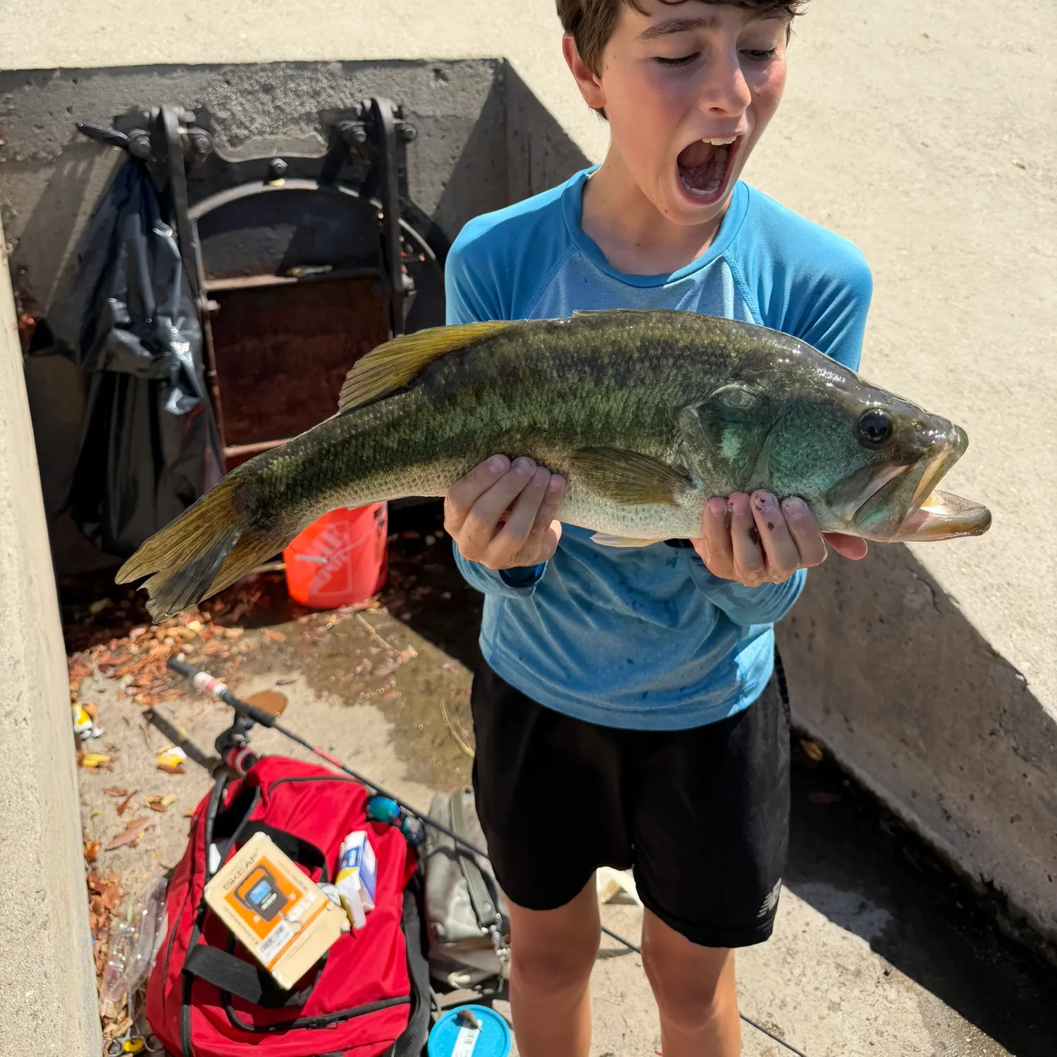 Largemouth bass caught on Fishbrain
