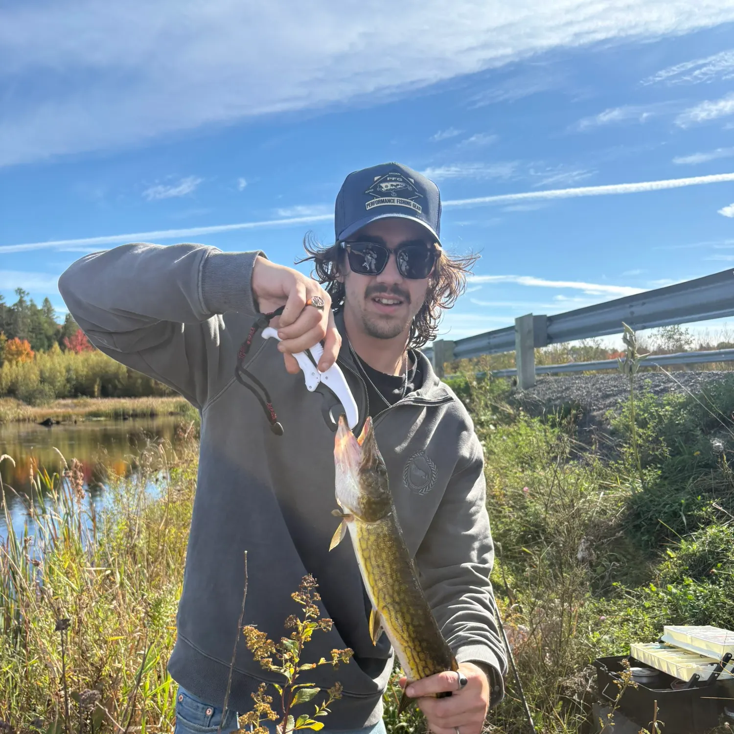 Chain pickerel caught on Fishbrain
