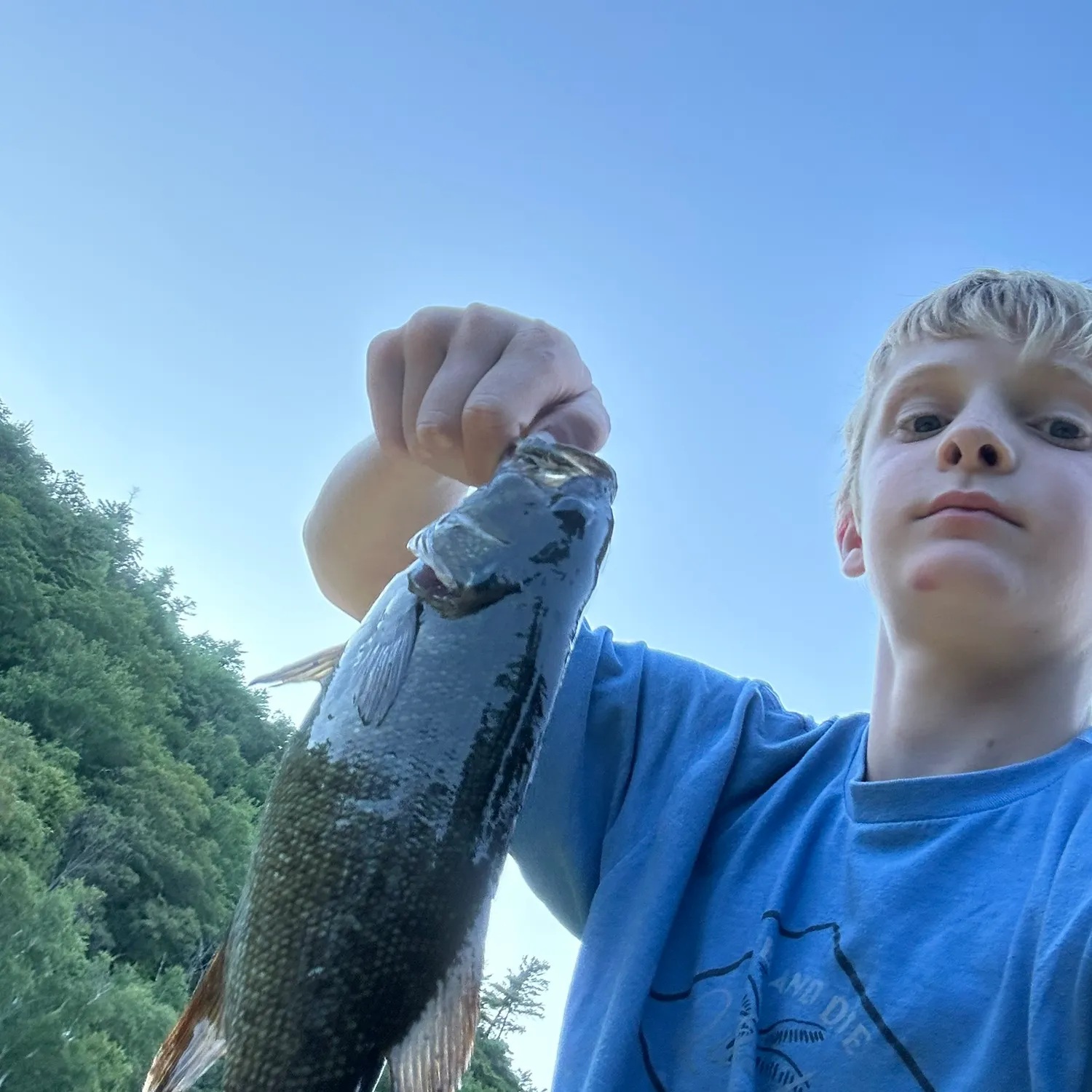 Smallmouth bass caught on Fishbrain