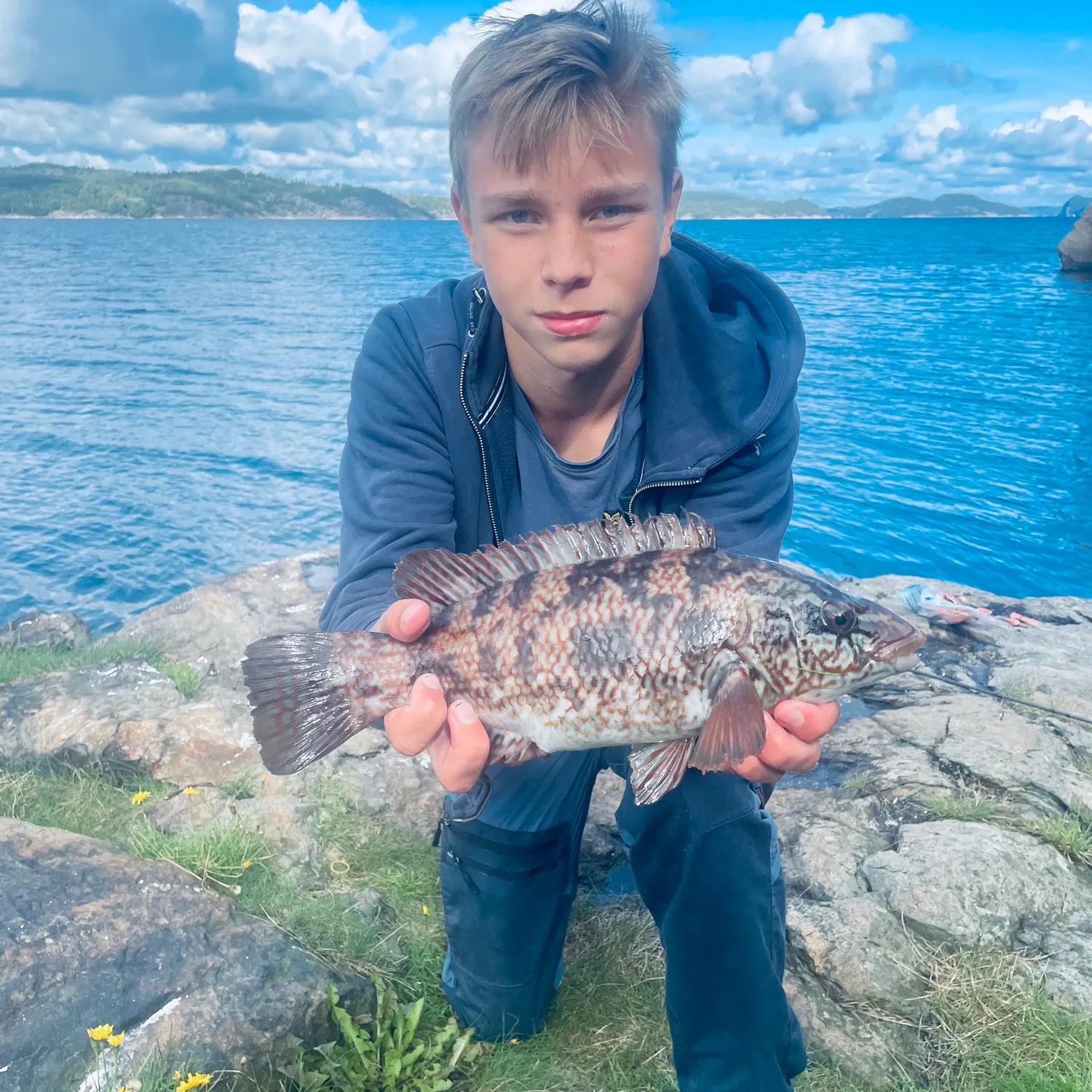 Ballan wrasse caught on Fishbrain