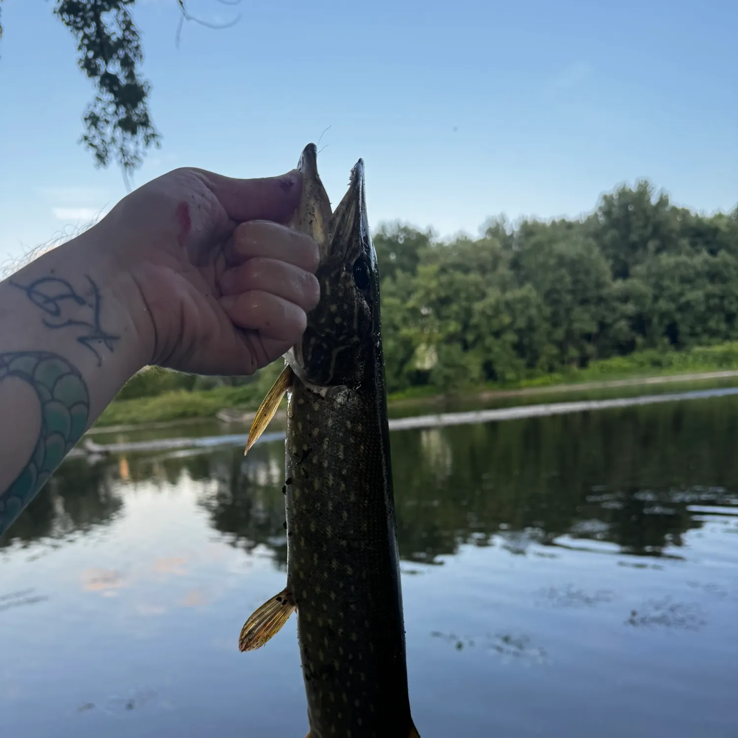 catch