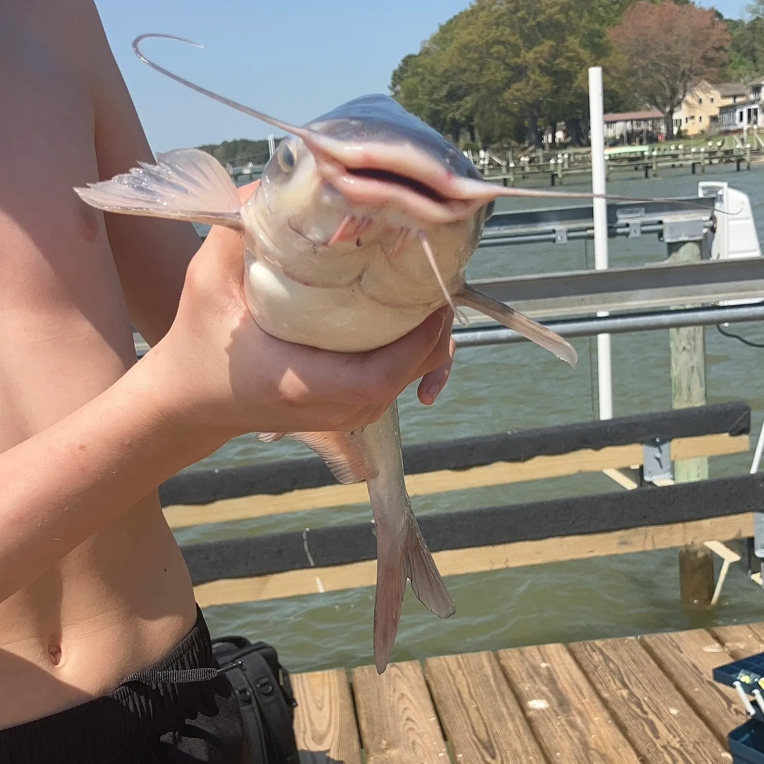 catch