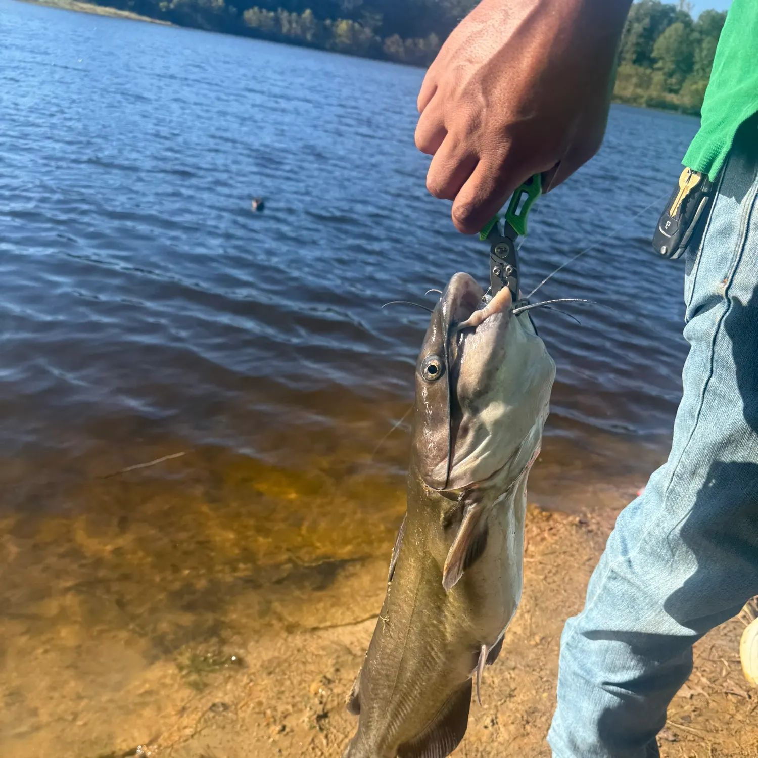 catch