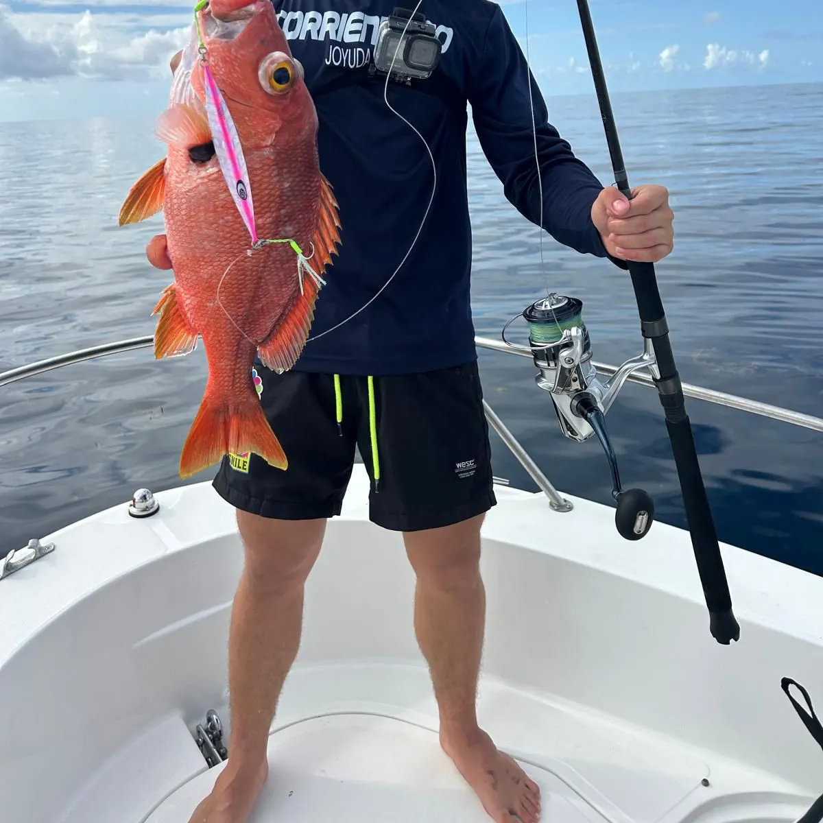 The most recent Blackfin snapper catches on Fishbrain