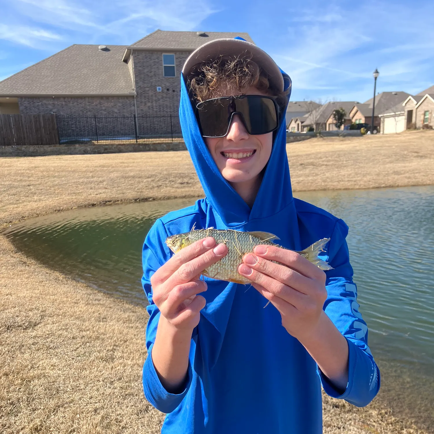 The most recent Golden shiner catches on Fishbrain