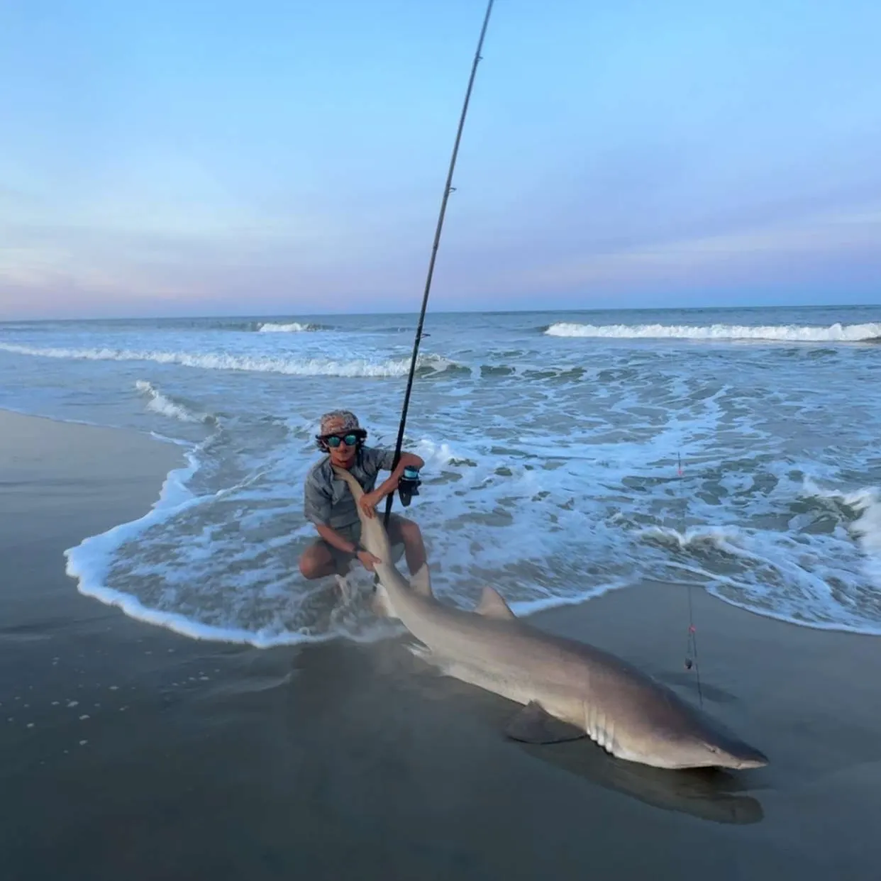 Nurse shark caught on Fishbrain