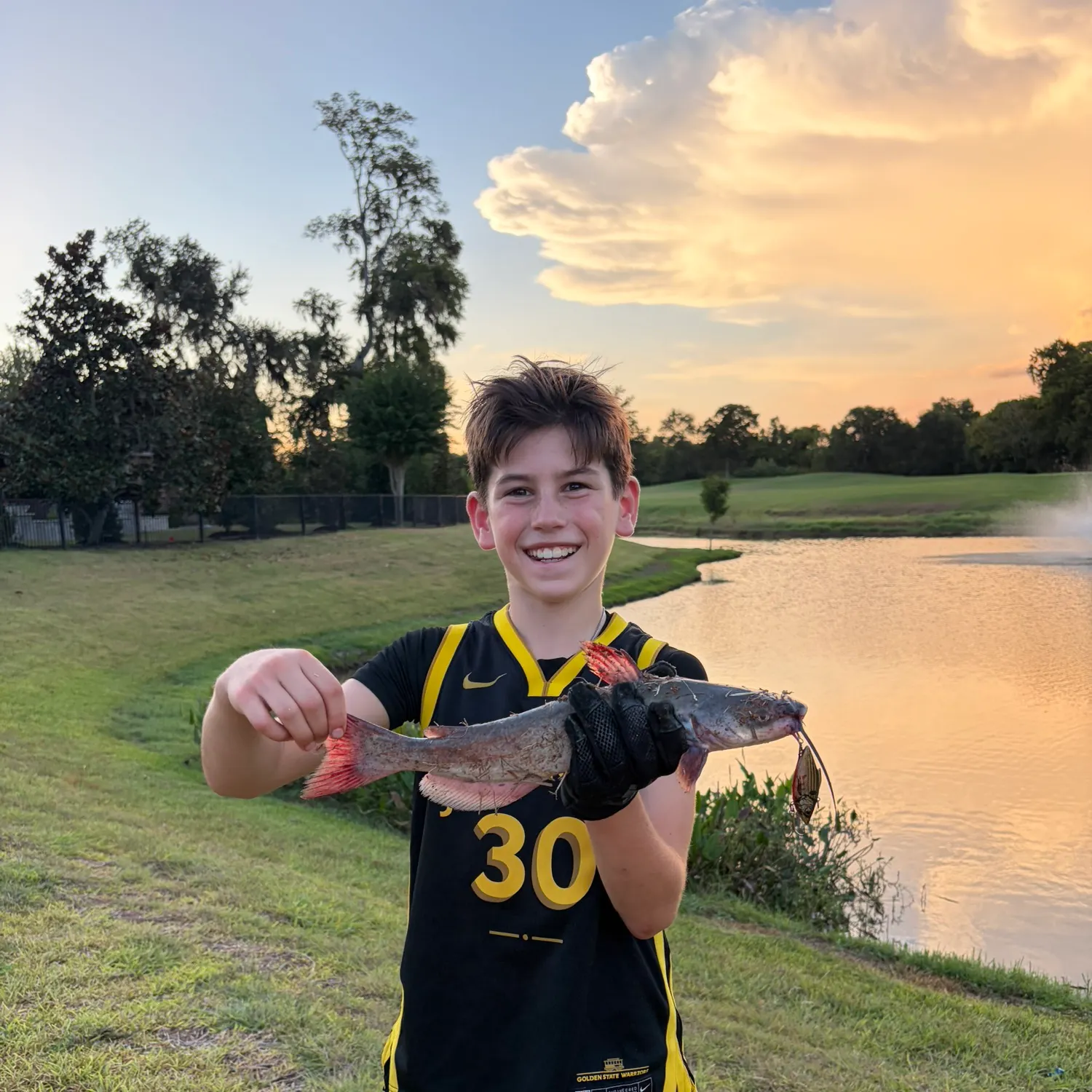 Channel catfish caught on Fishbrain
