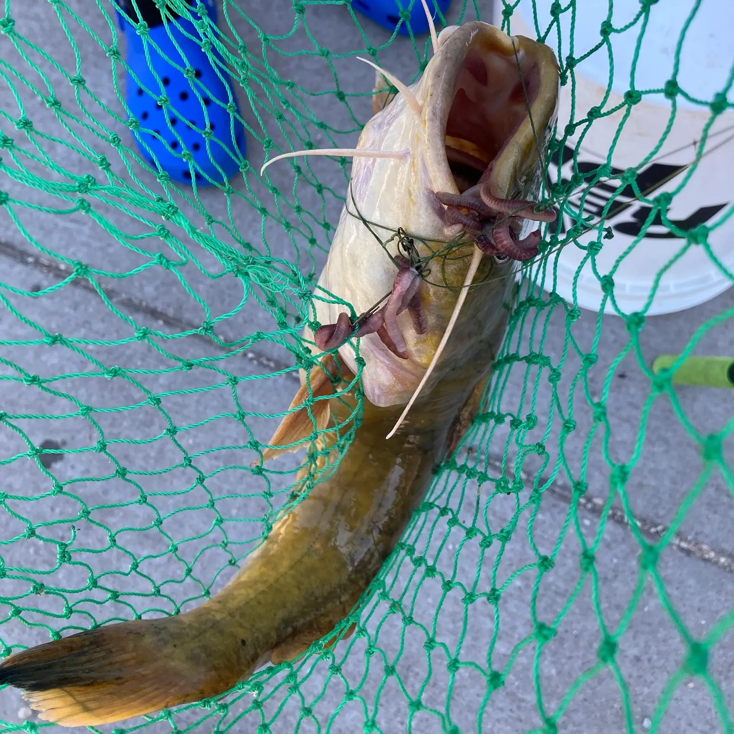 catch