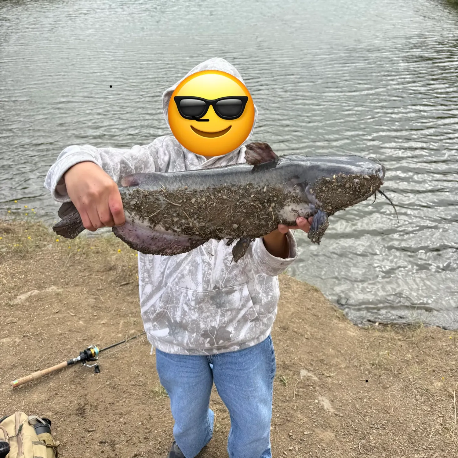 Channel catfish caught on Fishbrain
