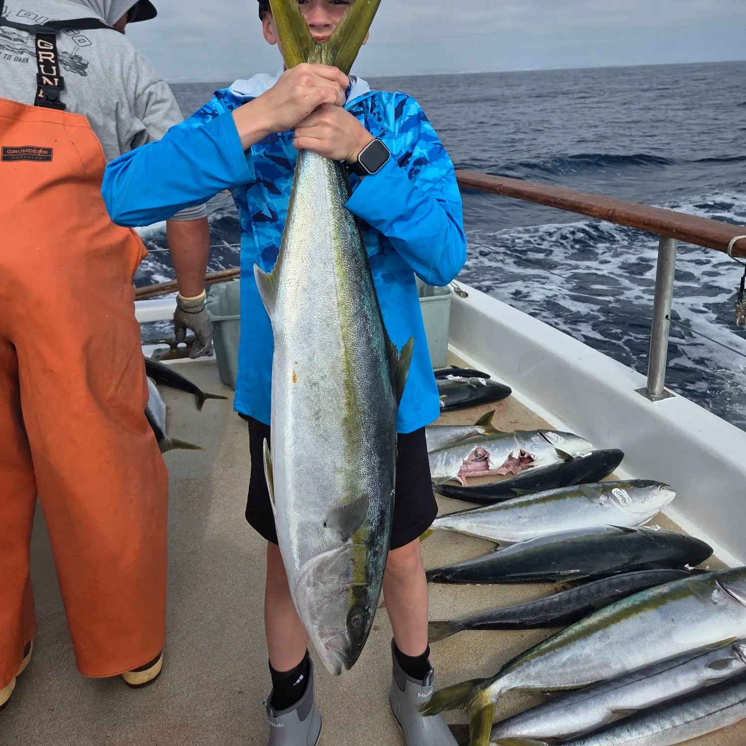 The most recent Southern yellowtail amberjack catches on Fishbrain