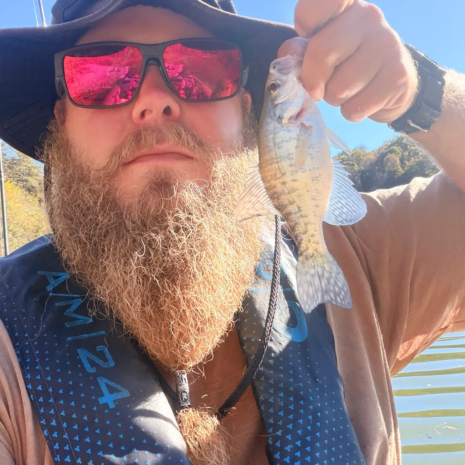 White crappie caught on Fishbrain