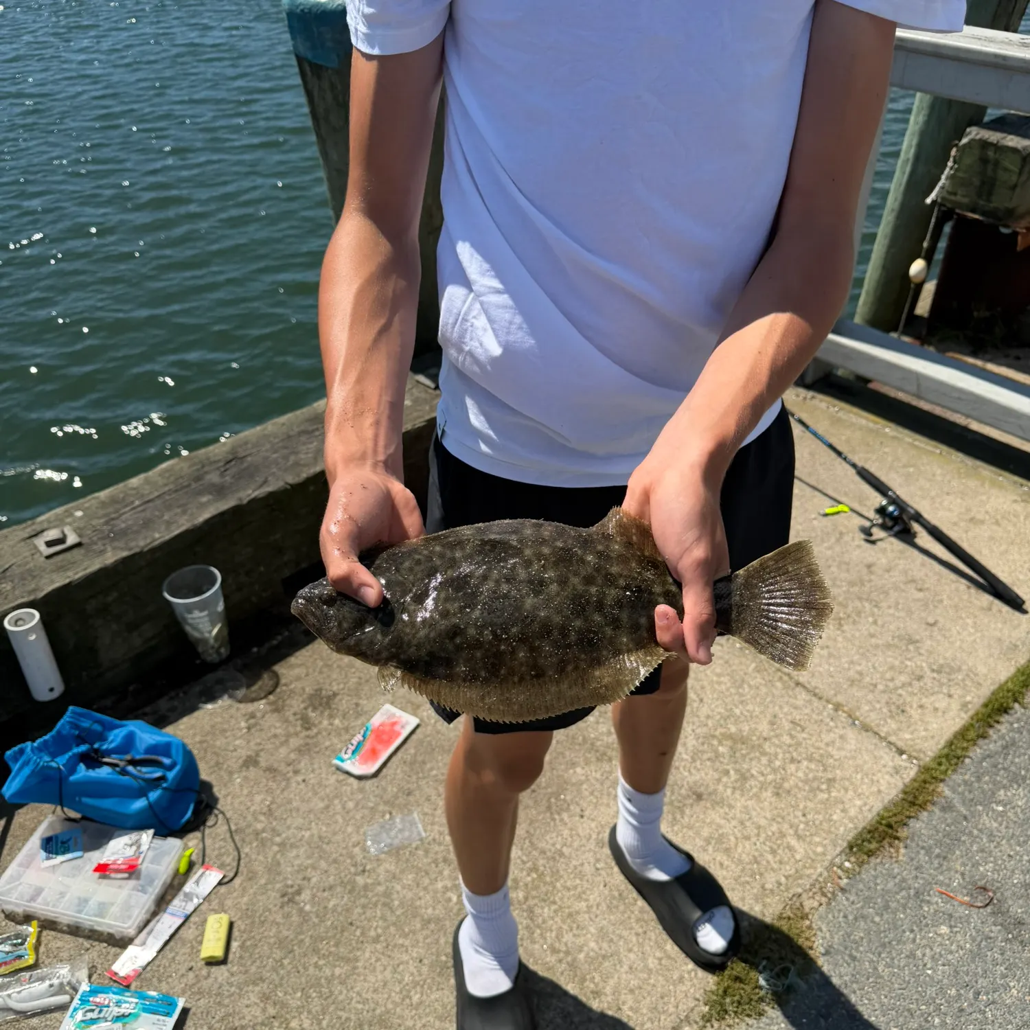 Summer flounder caught on Fishbrain