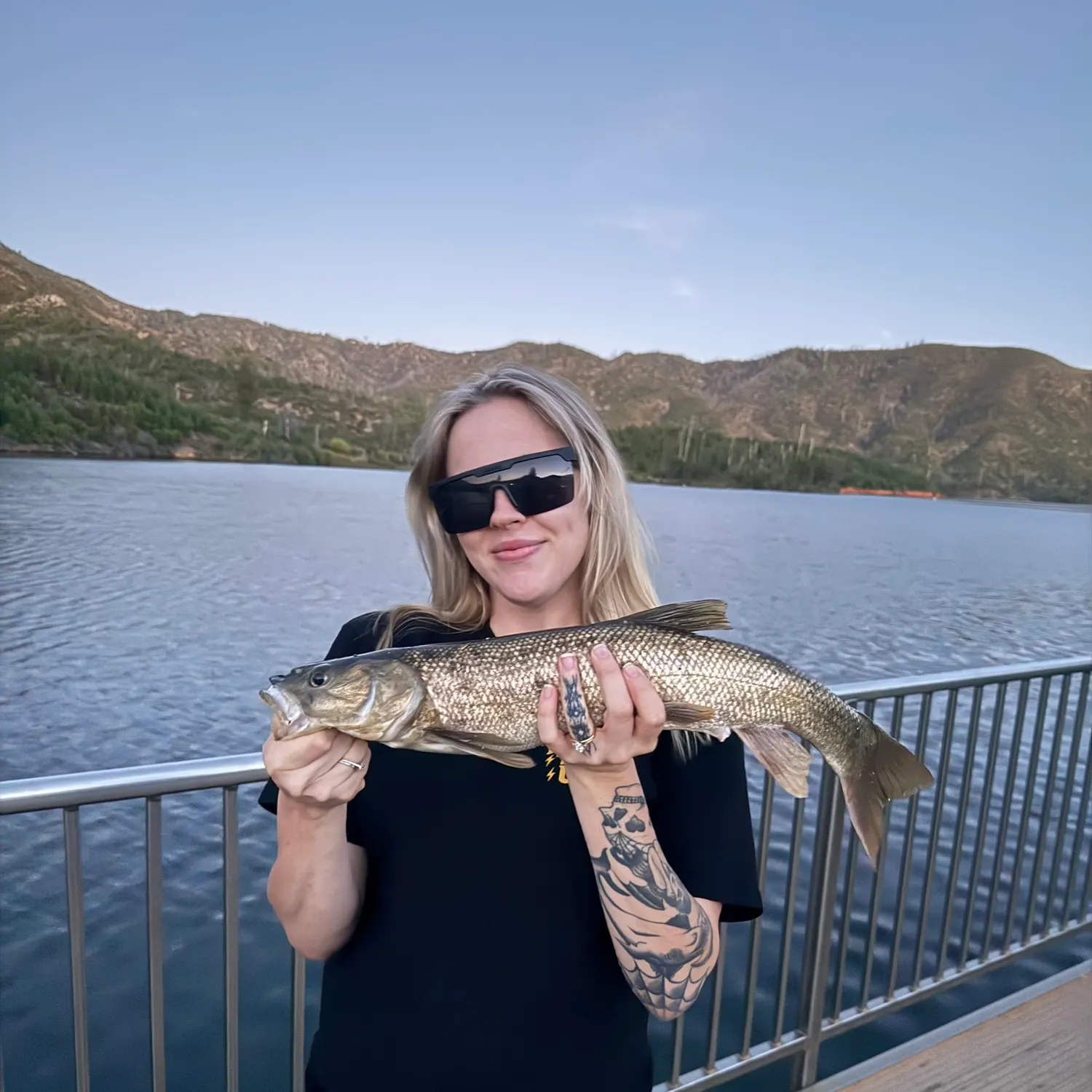 Sacramento pikeminnow caught on Fishbrain