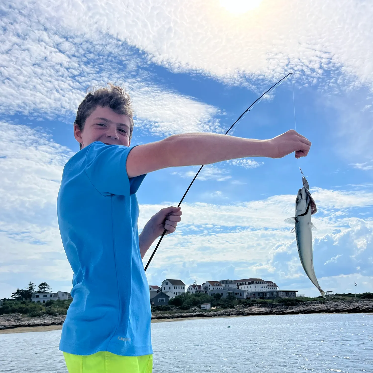 Atlantic mackerel caught on Fishbrain