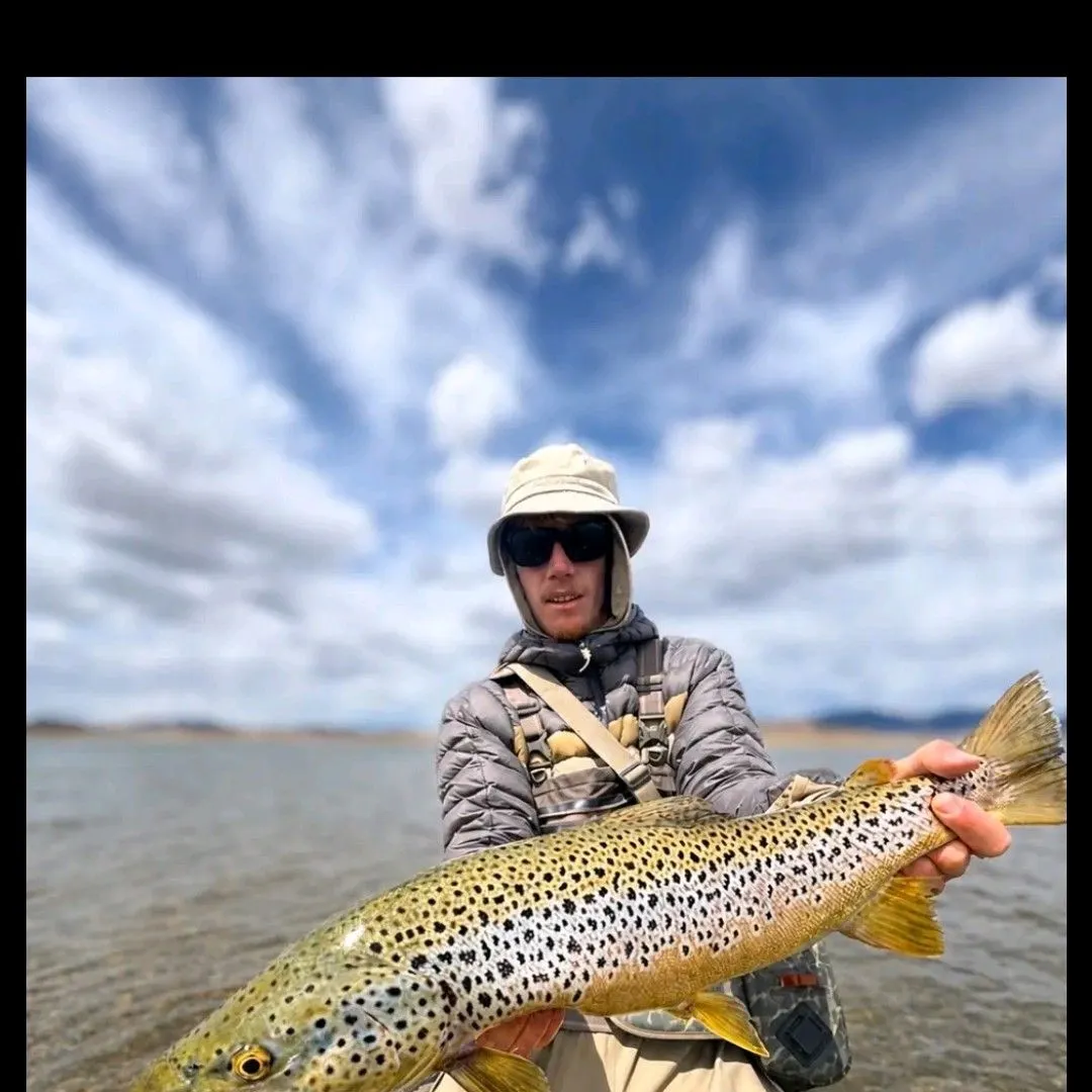 Fish caught on Fishbrain