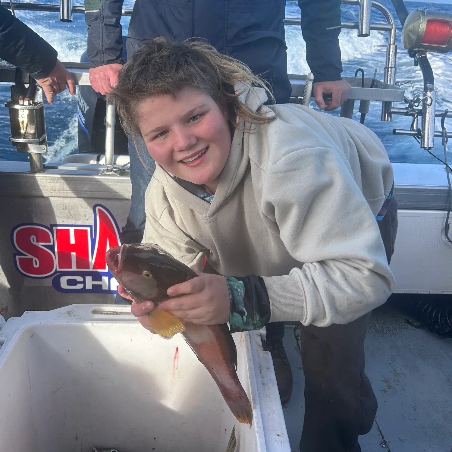 The most recent Blue-throated wrasse catches on Fishbrain