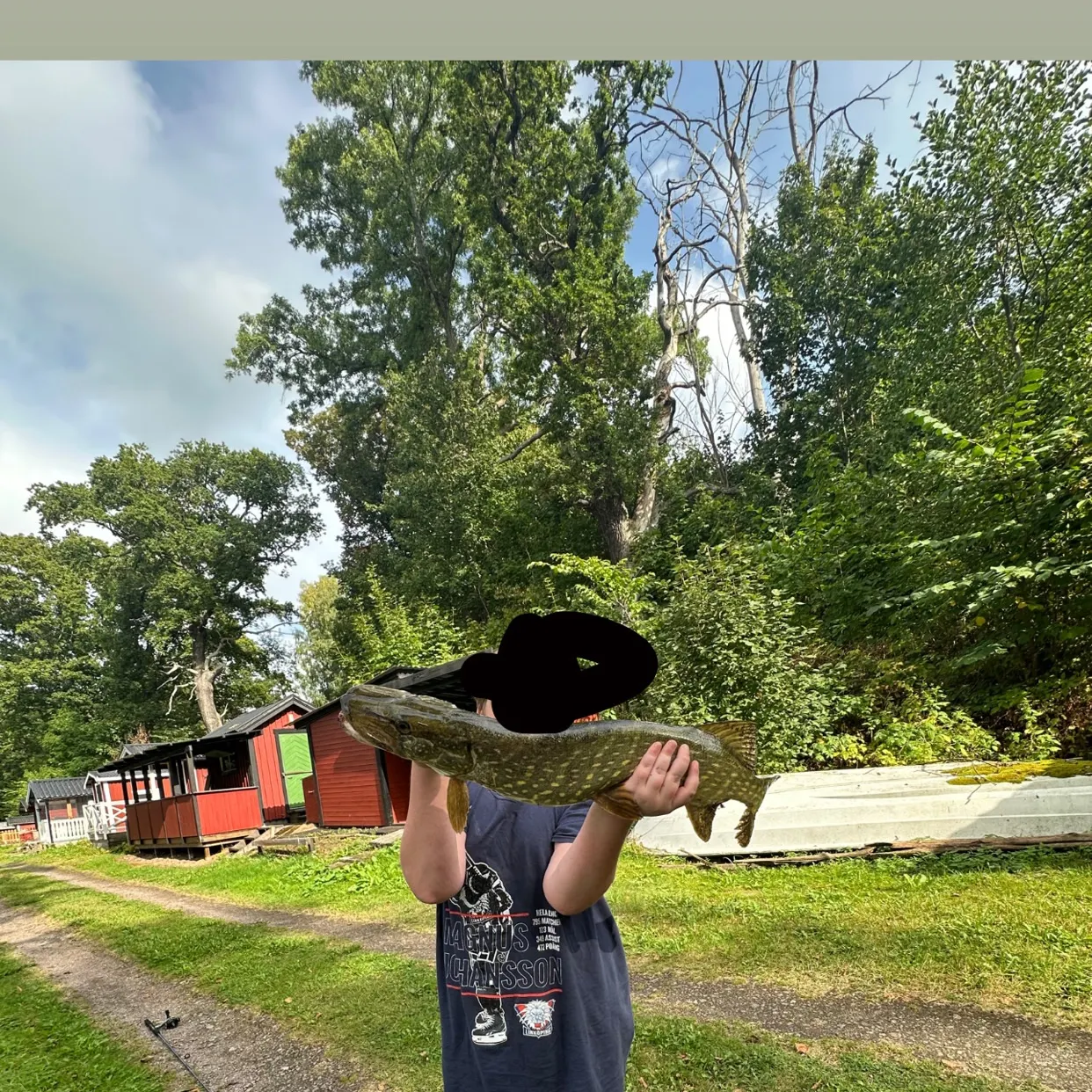 Northern pike caught on Fishbrain