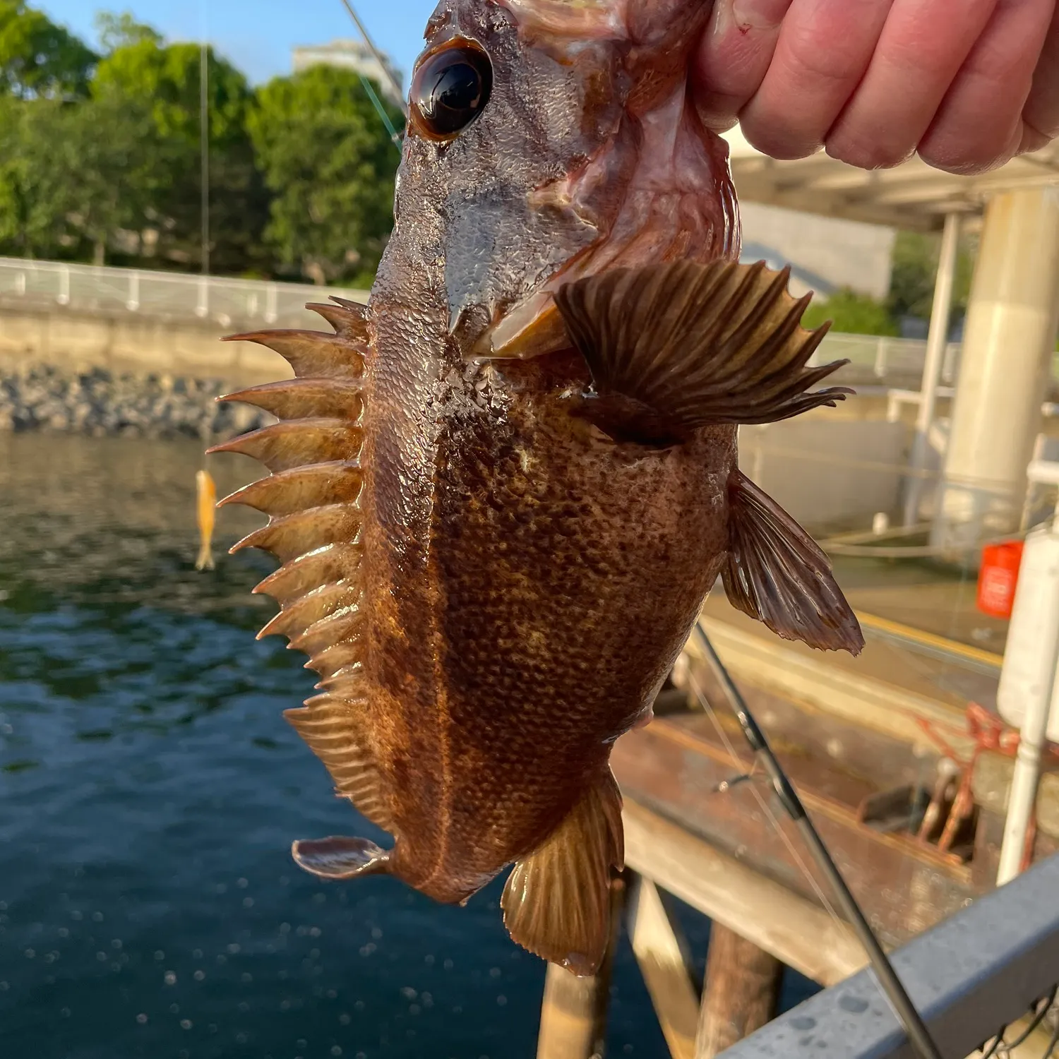 catch