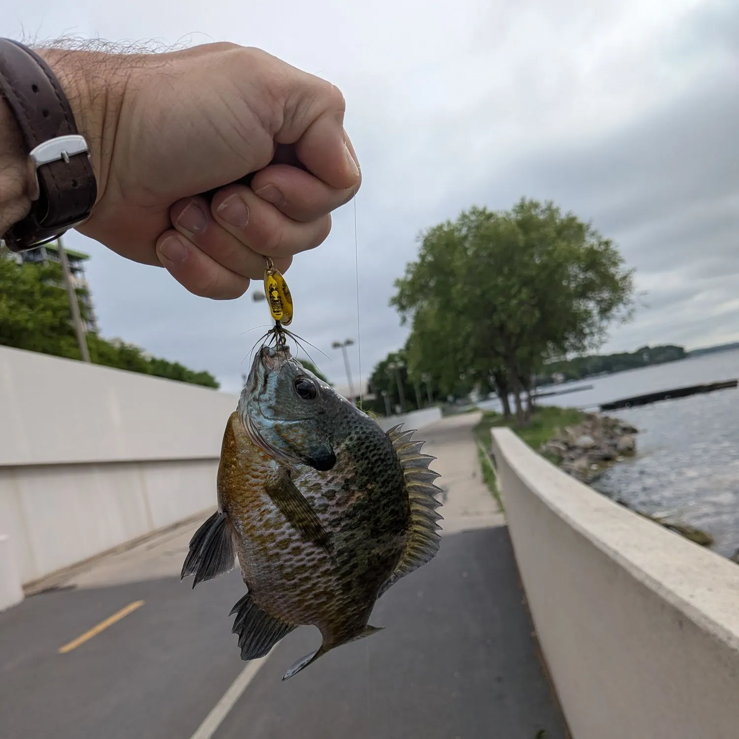 catch
