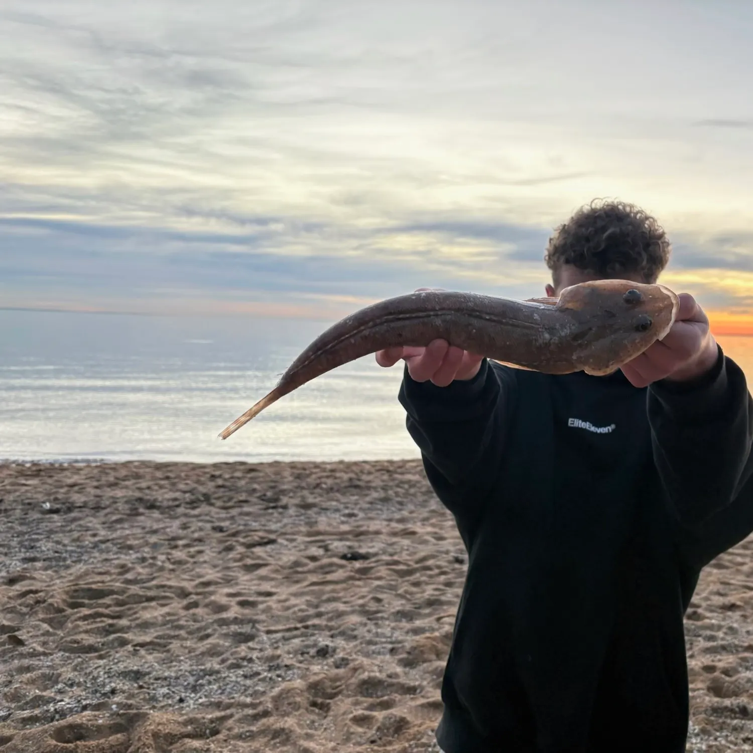 The most recent Sand flathead catches on Fishbrain