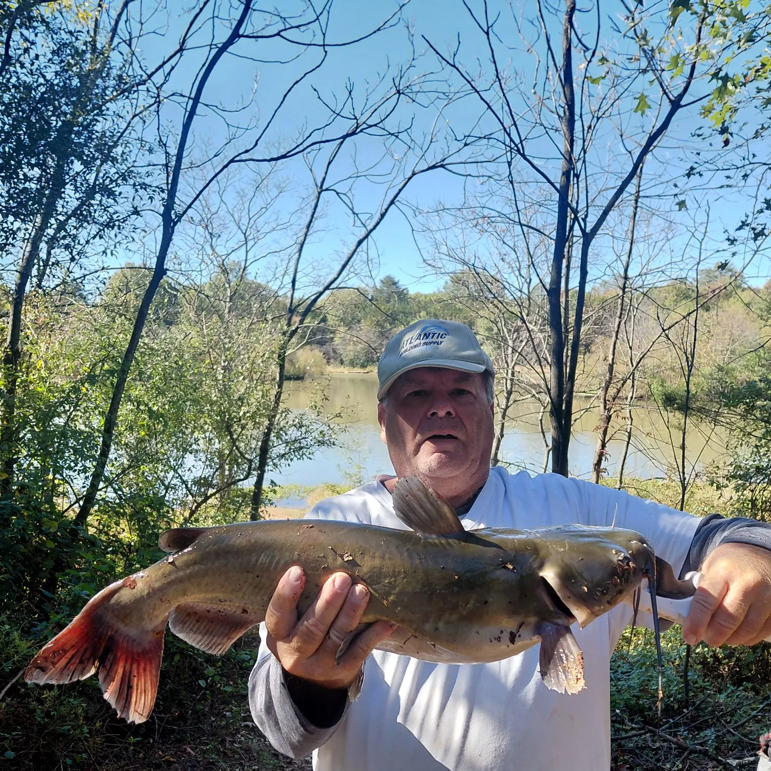 Channel catfish caught on Fishbrain