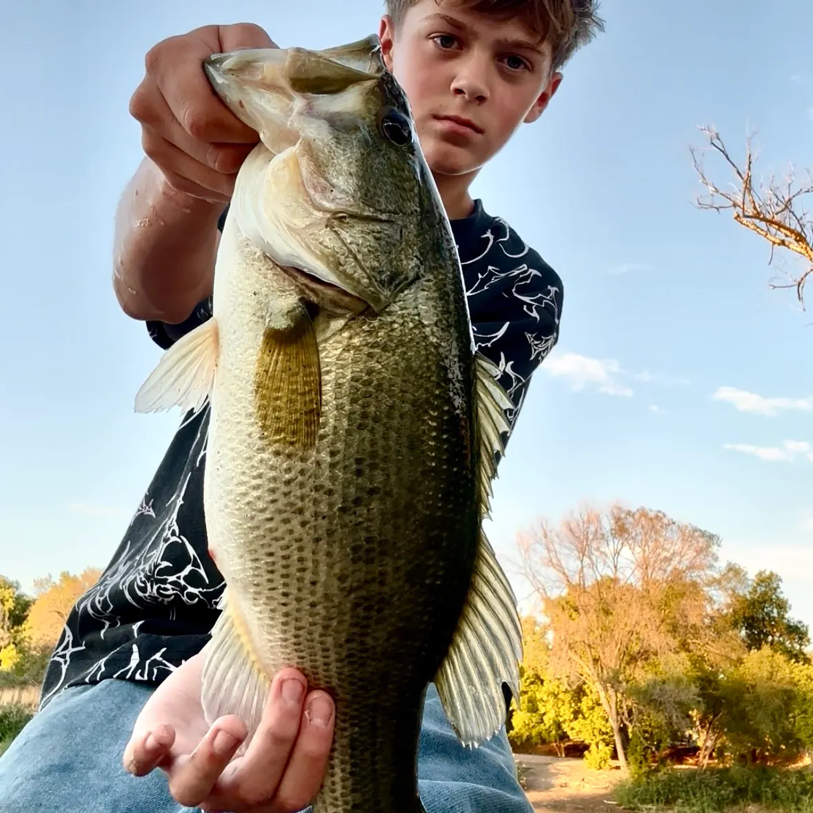 Largemouth bass caught on Fishbrain