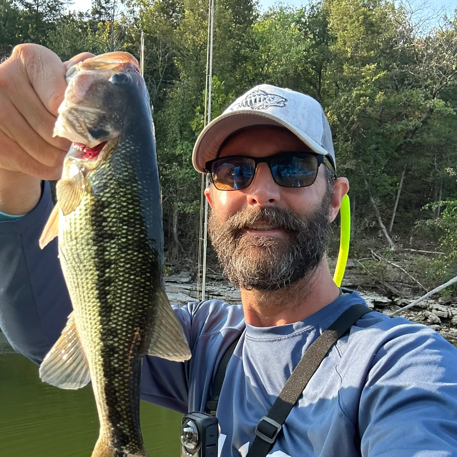 Spotted bass caught on Fishbrain