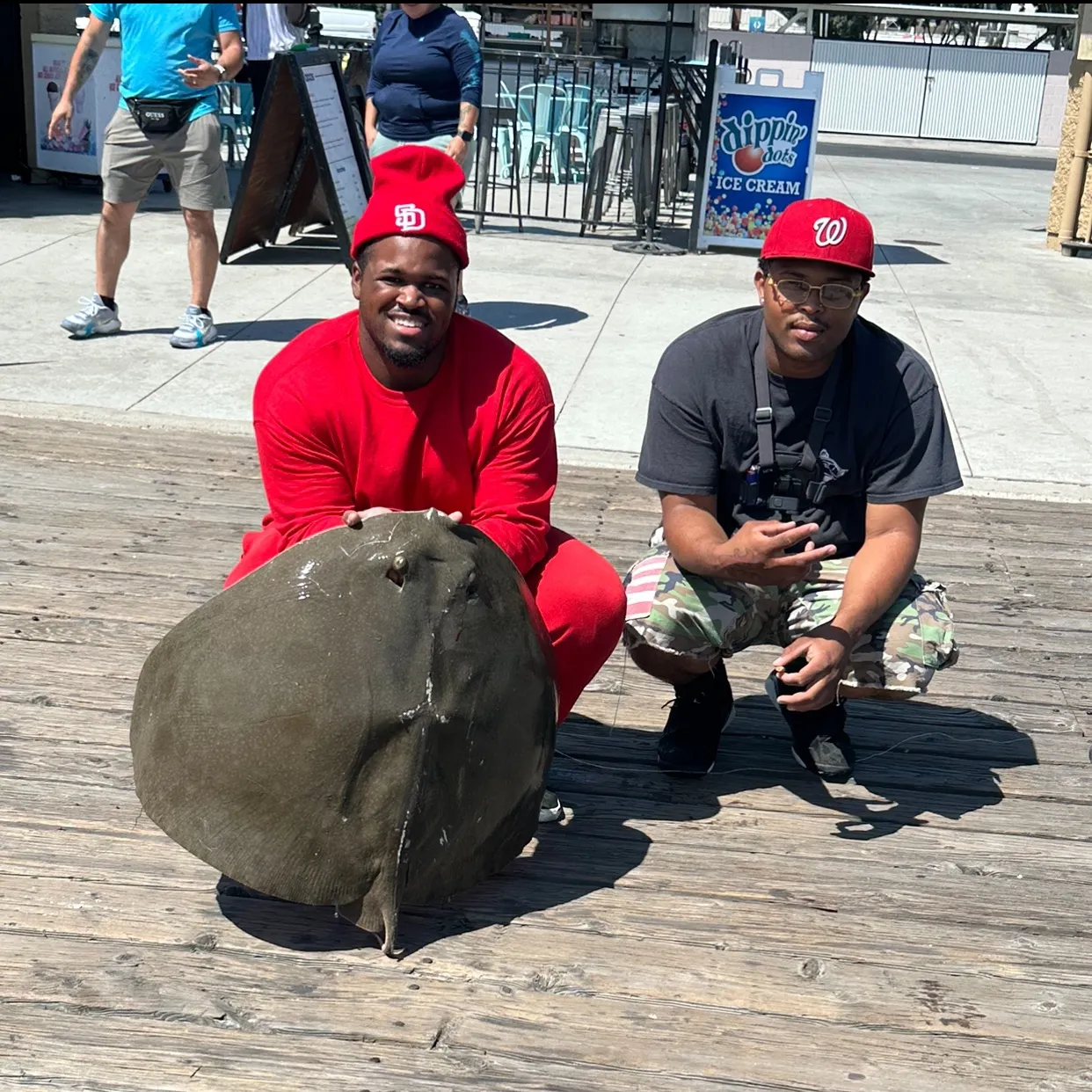 The most recent Spiny butterfly ray catches on Fishbrain