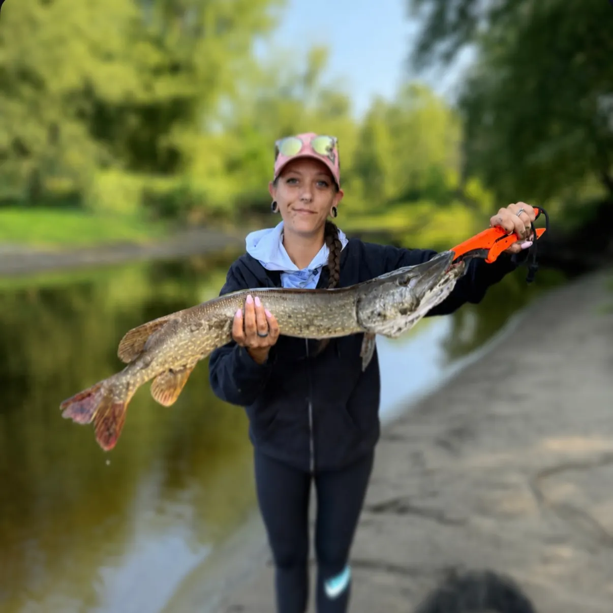 Northern pike caught on Fishbrain