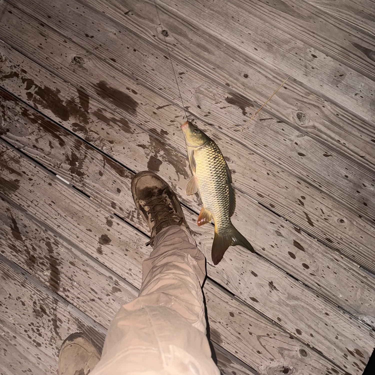 catch