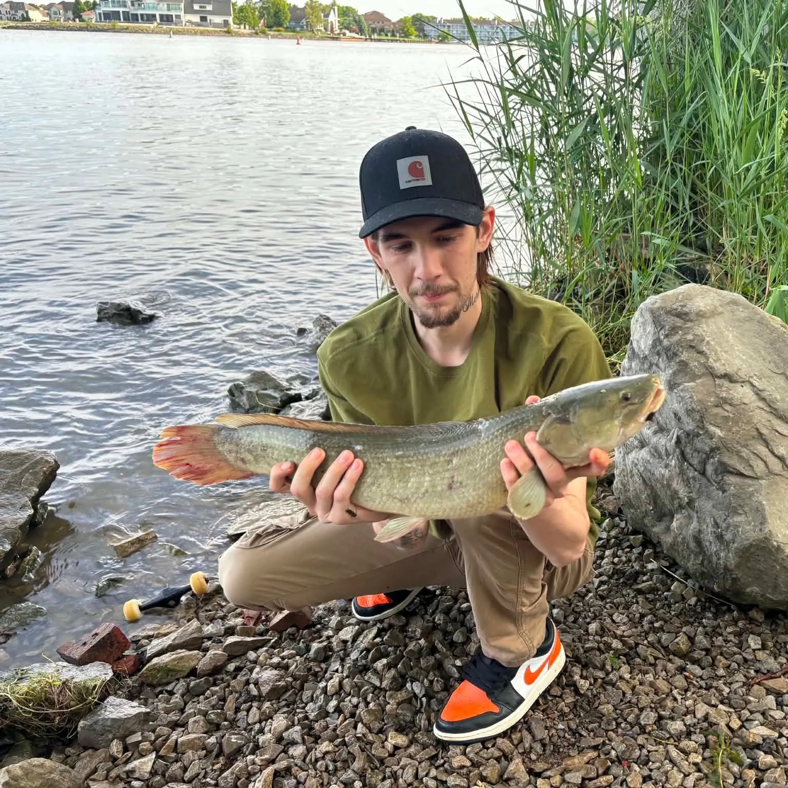 The most recent Eyetail bowfin catches on Fishbrain