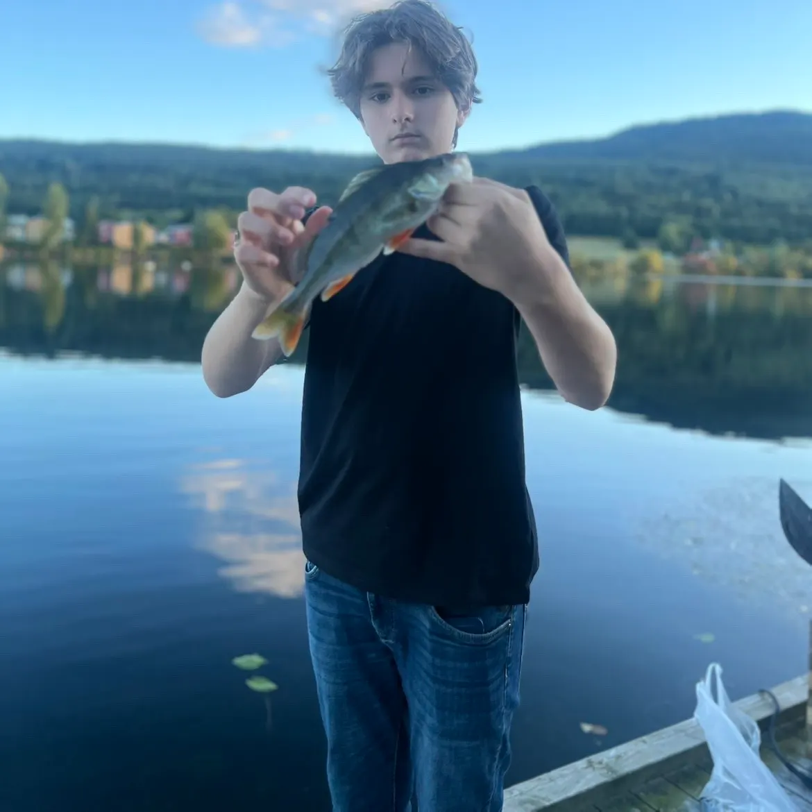 European perch caught on Fishbrain