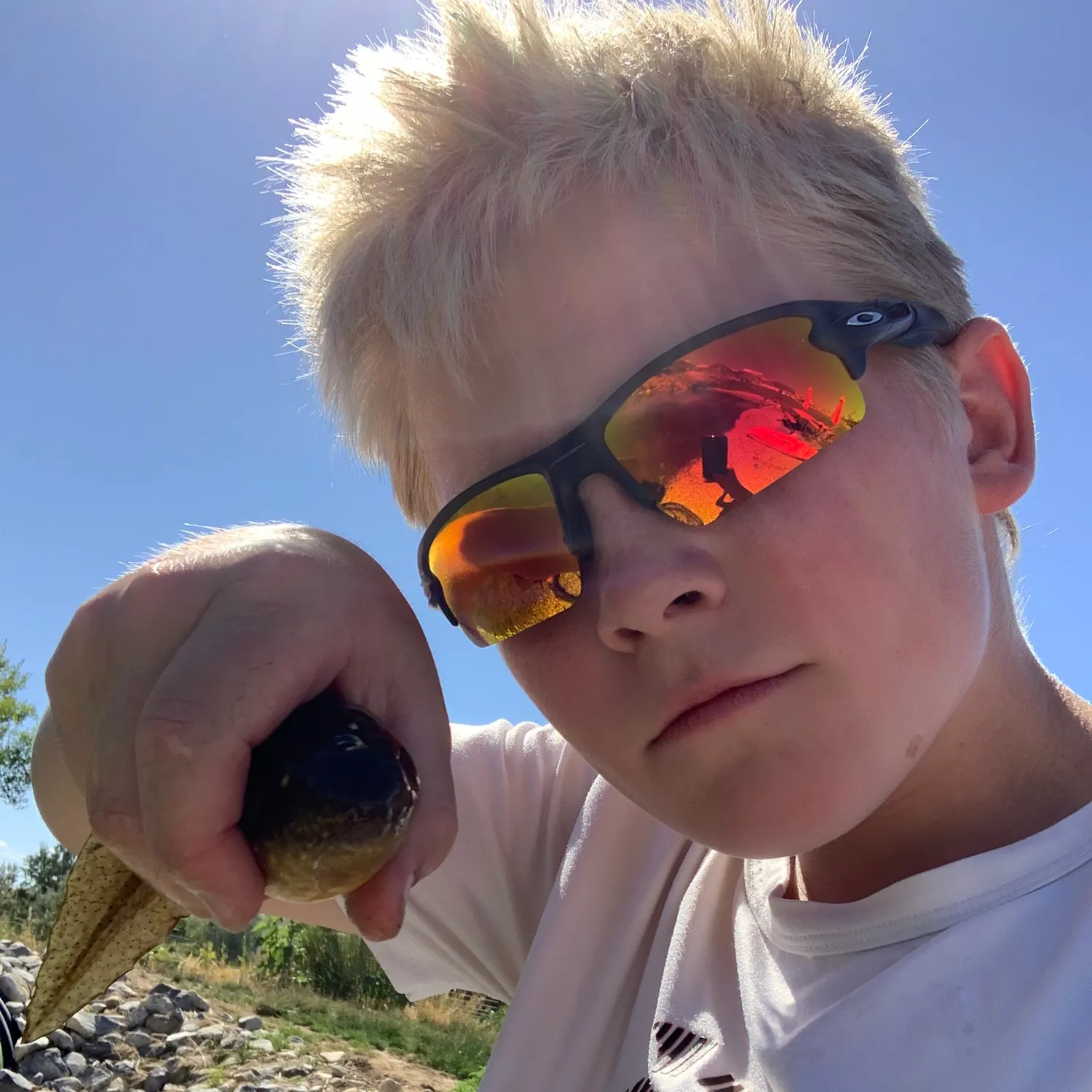 The most recent Crawfish frog catches on Fishbrain