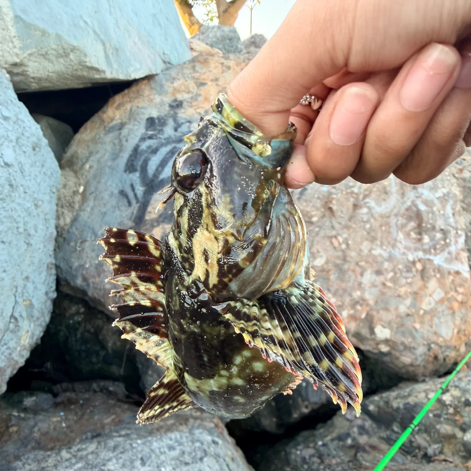 catch