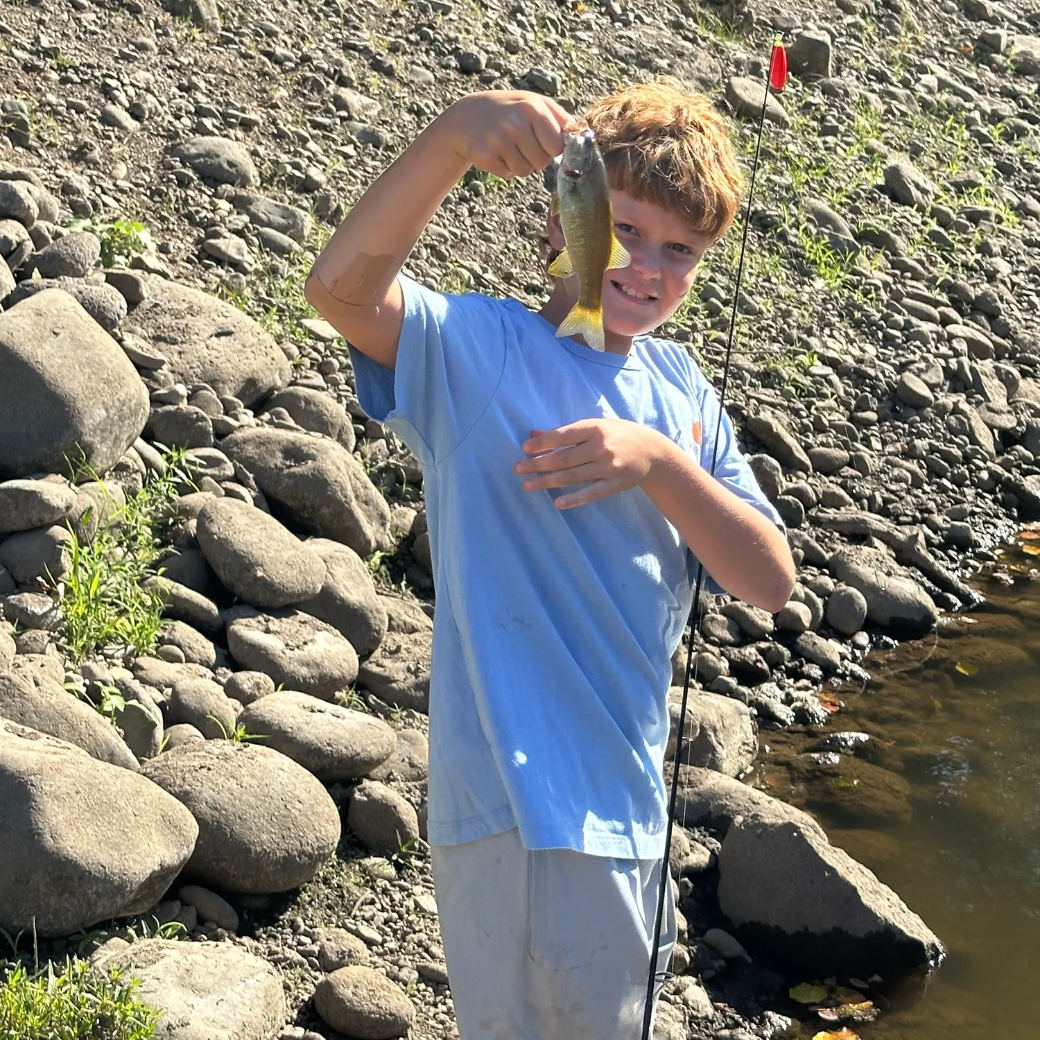Smallmouth bass caught on Fishbrain