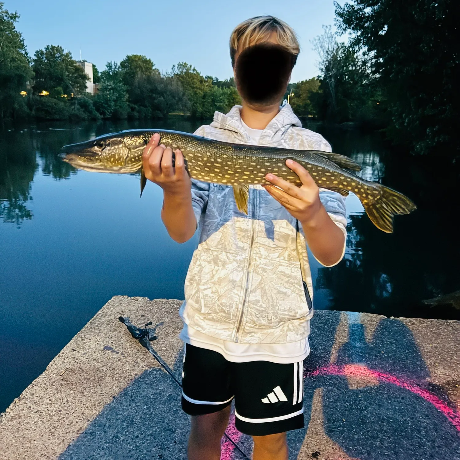 Northern pike caught on Fishbrain