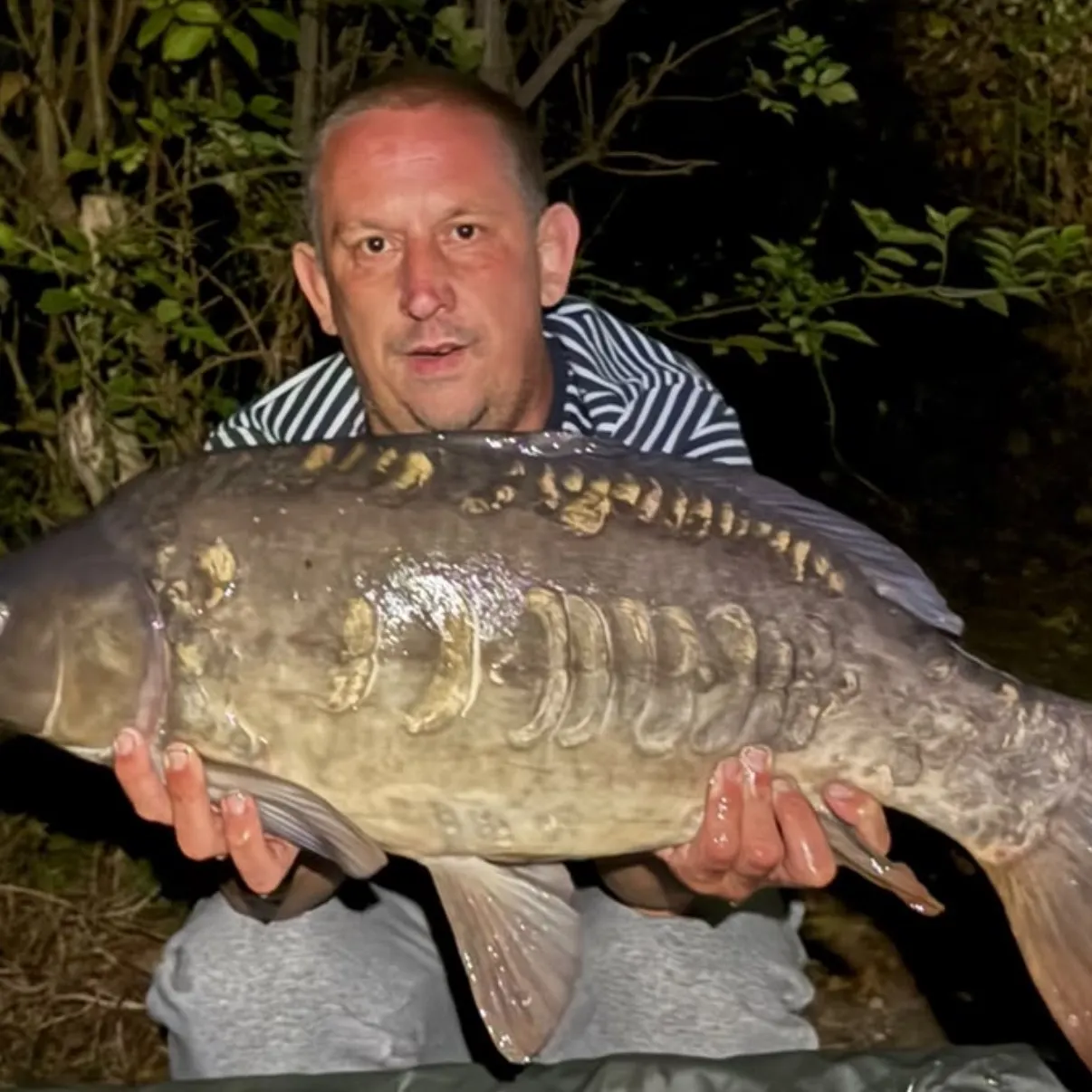 Mirror carp caught on Fishbrain